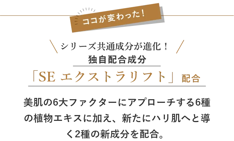 ここが新しくなった