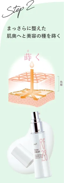 STEP2 インナードロップ