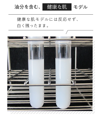 油分を含む、健康な肌モデル