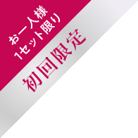 お一人様 1セット限り 初回限定