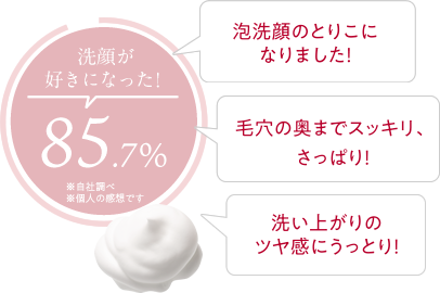 洗顔が好きになった！ 85.7% 毛穴の奥までスッキリ、さっぱり！ 泡洗顔のとりこになりました！ 洗い上がりのツヤ感にうっとり！