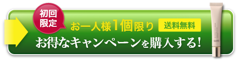 お得なキャンペーンを購入する