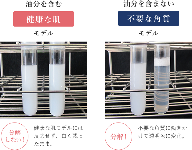 油分を含む健康な肌 分解しない! 健康な肌モデルには反応せず、白く残ったまま。 油分を含まない不要な角質 分解! 不要な角質に働きかけて透明色に変化。