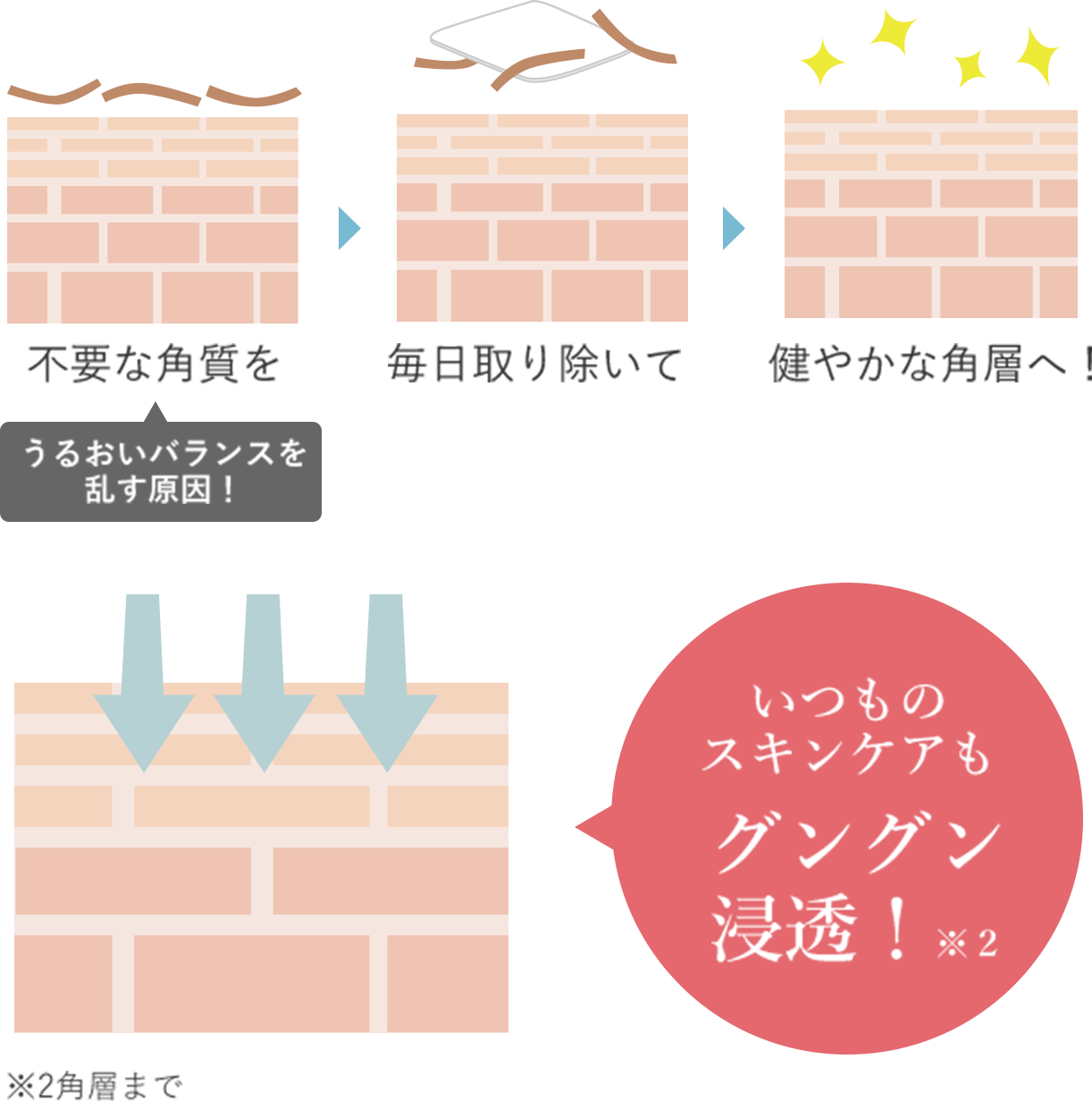 不要な角質を 毎日取り除いて 健やかな角層へ! いつものスキンケアもグングン浸透!