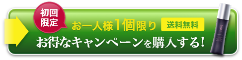 お得なキャンペーンを購入する